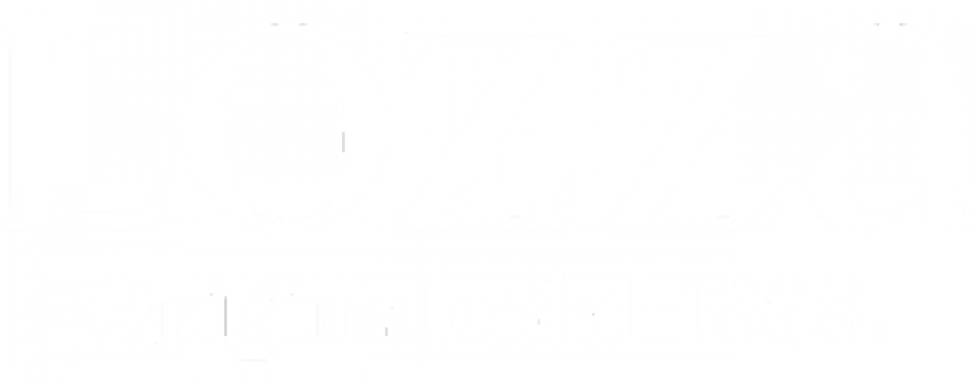 Logo Lozza nuovo payoff (1).png